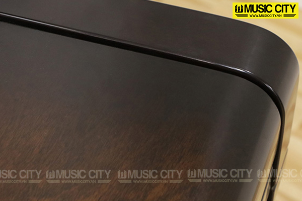 Music City – Tổng Kho Piano, Guitar, Organ | Dịch Vụ Giáo Dục Âm Nhạc