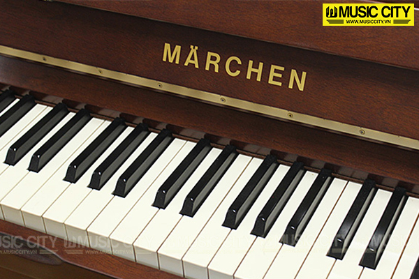 Music City – Tổng Kho Piano, Guitar, Organ | Dịch Vụ Giáo Dục Âm Nhạc