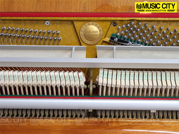 Music City – Tổng Kho Piano, Guitar, Organ | Dịch Vụ Giáo Dục Âm Nhạc