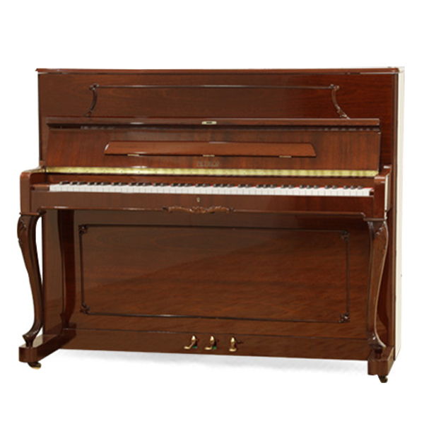 Music City – Tổng Kho Piano, Guitar, Organ | Dịch Vụ Giáo Dục Âm Nhạc