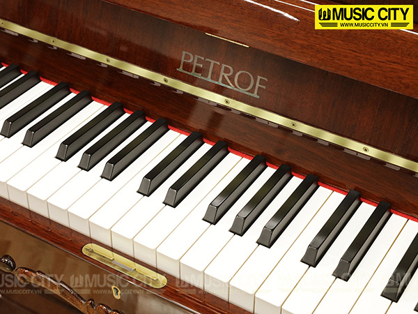 Music City – Tổng Kho Piano, Guitar, Organ | Dịch Vụ Giáo Dục Âm Nhạc