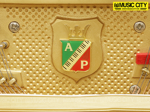 Music City – Tổng Kho Piano, Guitar, Organ | Dịch Vụ Giáo Dục Âm Nhạc