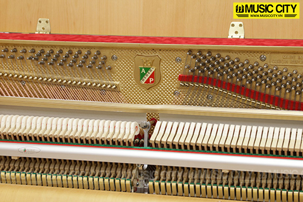 Music City – Tổng Kho Piano, Guitar, Organ | Dịch Vụ Giáo Dục Âm Nhạc