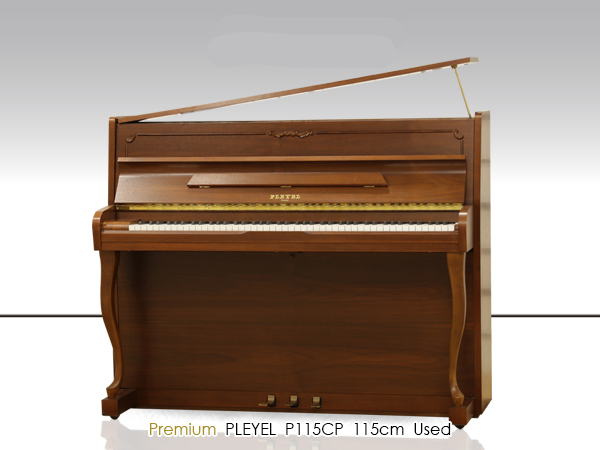 Music City – Tổng Kho Piano, Guitar, Organ | Dịch Vụ Giáo Dục Âm Nhạc