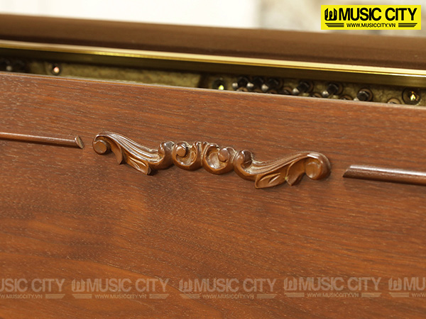 Đàn Piano Pleyel P115CP - Ảnh 4