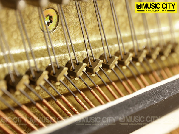 Đàn Piano Pleyel P115CP - Ảnh 9