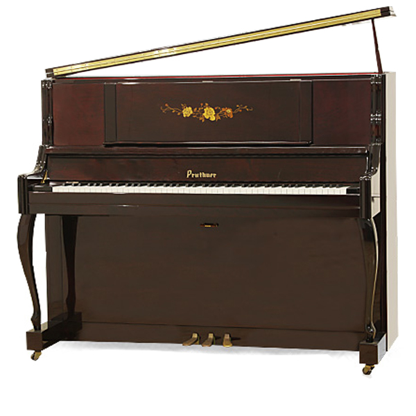 Music City – Tổng Kho Piano, Guitar, Organ | Dịch Vụ Giáo Dục Âm Nhạc