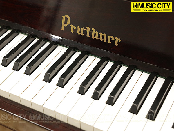 Music City – Tổng Kho Piano, Guitar, Organ | Dịch Vụ Giáo Dục Âm Nhạc