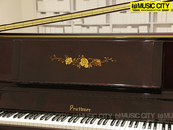 Music City – Tổng Kho Piano, Guitar, Organ | Dịch Vụ Giáo Dục Âm Nhạc