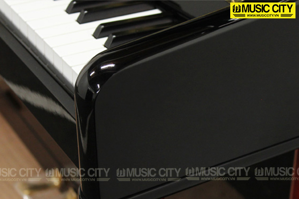 Music City – Tổng Kho Piano, Guitar, Organ | Dịch Vụ Giáo Dục Âm Nhạc