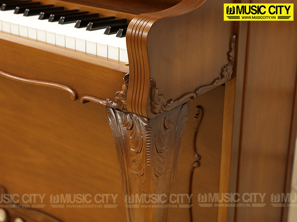 Music City – Tổng Kho Piano, Guitar, Organ | Dịch Vụ Giáo Dục Âm Nhạc