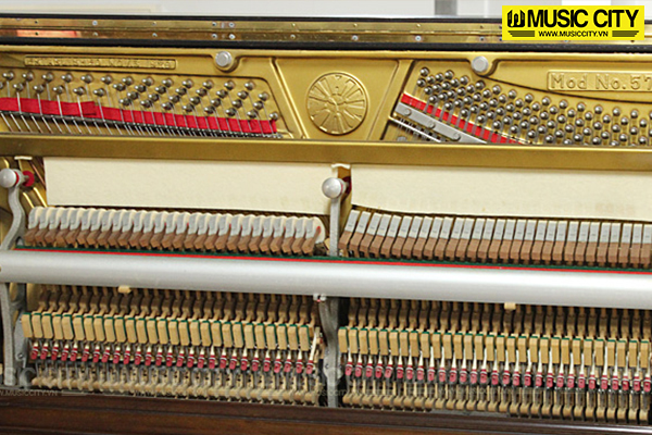 Music City – Tổng Kho Piano, Guitar, Organ | Dịch Vụ Giáo Dục Âm Nhạc