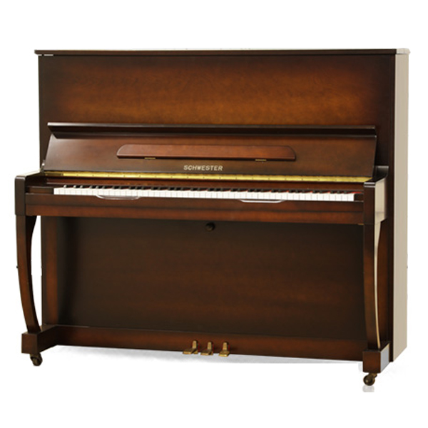 Music City – Tổng Kho Piano, Guitar, Organ | Dịch Vụ Giáo Dục Âm Nhạc