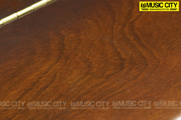 Music City – Tổng Kho Piano, Guitar, Organ | Dịch Vụ Giáo Dục Âm Nhạc