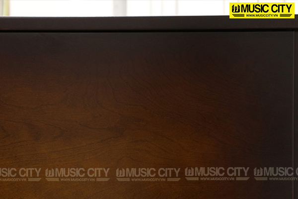 Music City – Tổng Kho Piano, Guitar, Organ | Dịch Vụ Giáo Dục Âm Nhạc