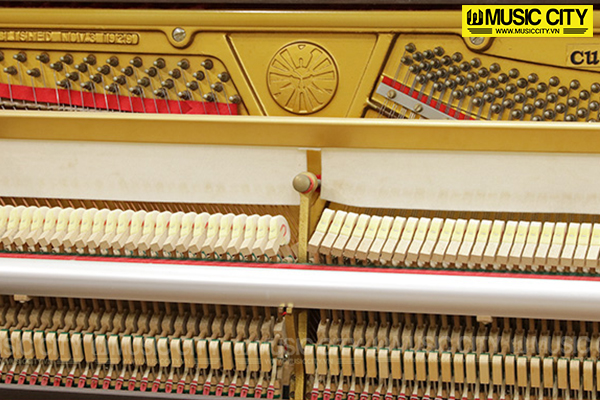 Music City – Tổng Kho Piano, Guitar, Organ | Dịch Vụ Giáo Dục Âm Nhạc