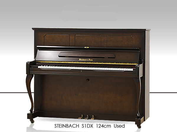 Đàn Piano Steinbach & Sons S1DX - Ảnh 2