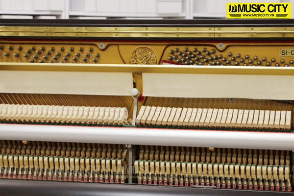 Đàn Piano Steinbach & Sons S1DX - Ảnh 5