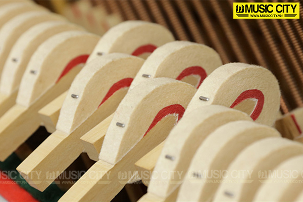 Music City – Tổng Kho Piano, Guitar, Organ | Dịch Vụ Giáo Dục Âm Nhạc
