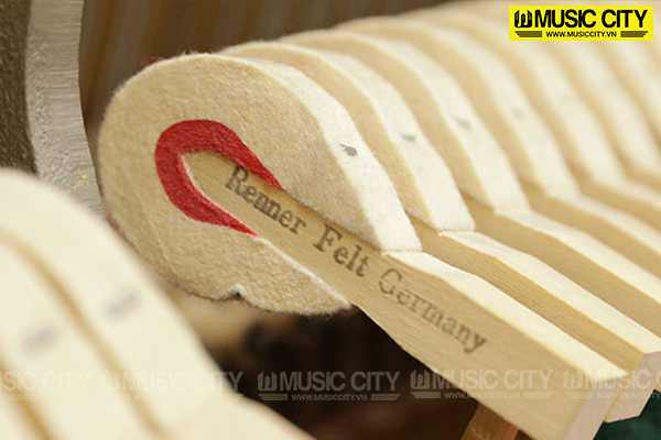 Đàn Piano Steinbach & Sons S1DX - Ảnh 7