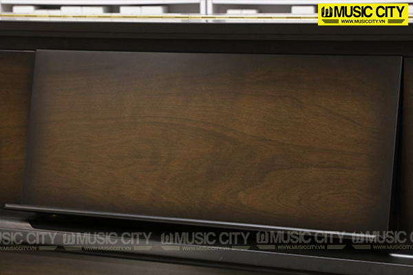 Đàn Piano Steinrich S180EA - Ảnh 4