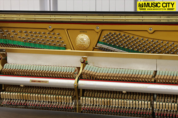 Đàn Piano Steinrich S180EA - Ảnh 7