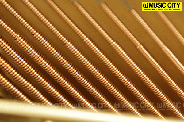 Đàn Piano Wendl & Lung AU118W - Ảnh 10