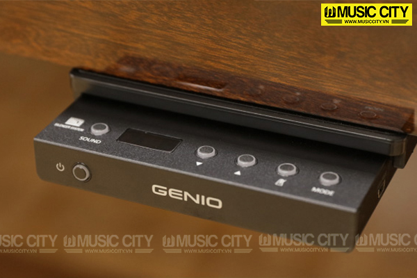 Music City – Tổng Kho Piano, Guitar, Organ | Dịch Vụ Giáo Dục Âm Nhạc