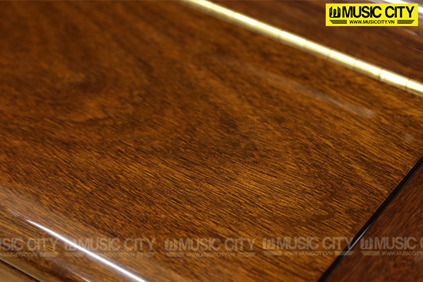 Music City – Tổng Kho Piano, Guitar, Organ | Dịch Vụ Giáo Dục Âm Nhạc