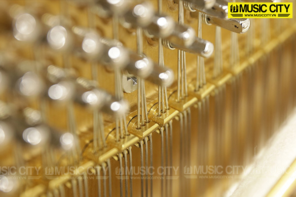 Music City – Tổng Kho Piano, Guitar, Organ | Dịch Vụ Giáo Dục Âm Nhạc