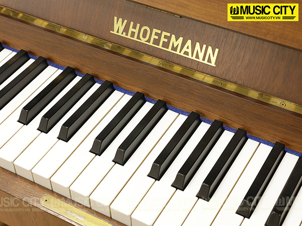 Đàn Piano W.Hoffmann World 125 - Ảnh 3