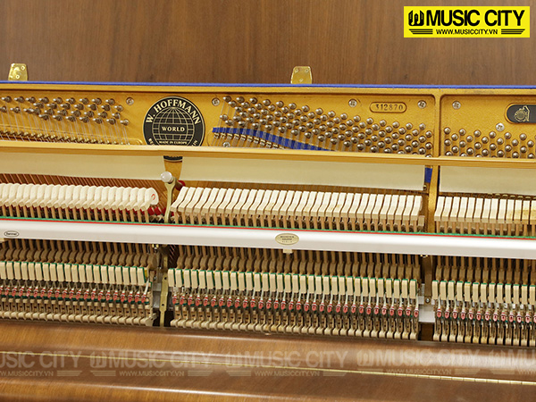 Đàn Piano W.Hoffmann World 125 - Ảnh 6