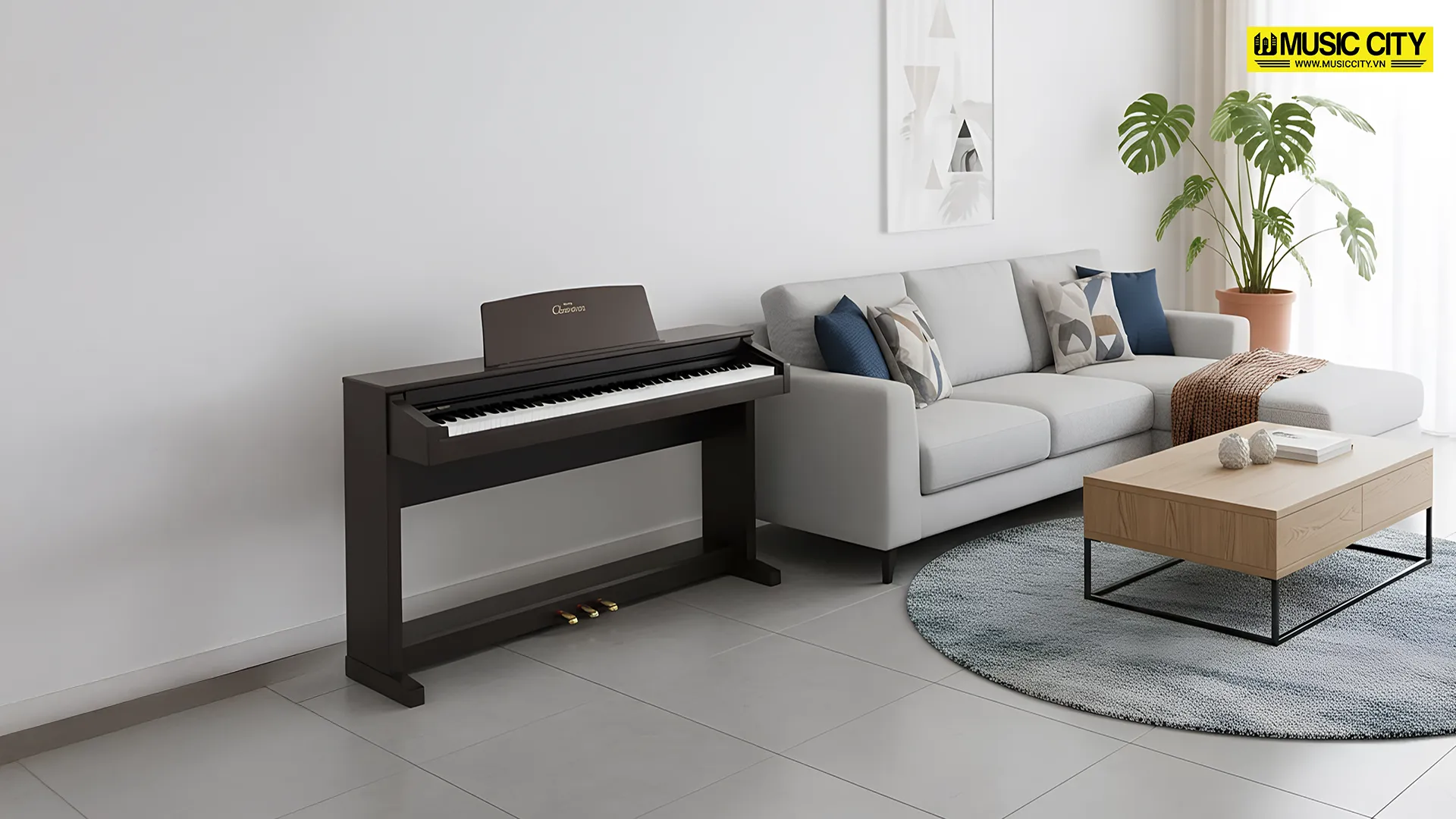 Music City – Tổng Kho Piano, Guitar, Organ | Dịch Vụ Giáo Dục Âm Nhạc