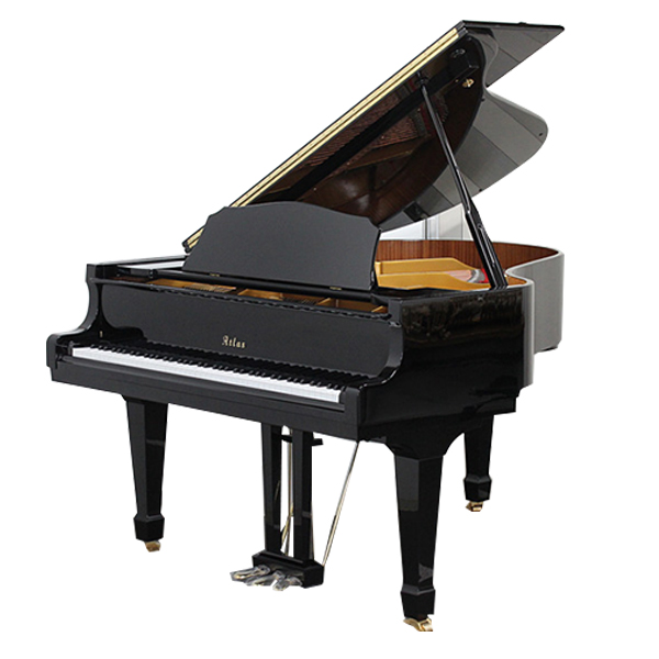 Đàn Grand Atlas AG750