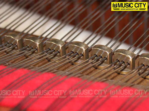 Music City – Tổng Kho Piano, Guitar, Organ | Dịch Vụ Giáo Dục Âm Nhạc
