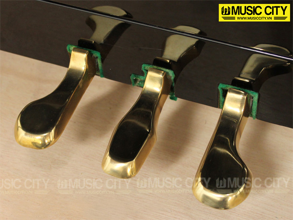 Music City – Tổng Kho Piano, Guitar, Organ | Dịch Vụ Giáo Dục Âm Nhạc