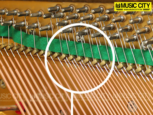 Đàn Piano Atlas NA706 - Ảnh 8