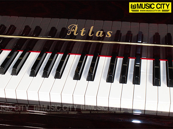 Music City – Tổng Kho Piano, Guitar, Organ | Dịch Vụ Giáo Dục Âm Nhạc