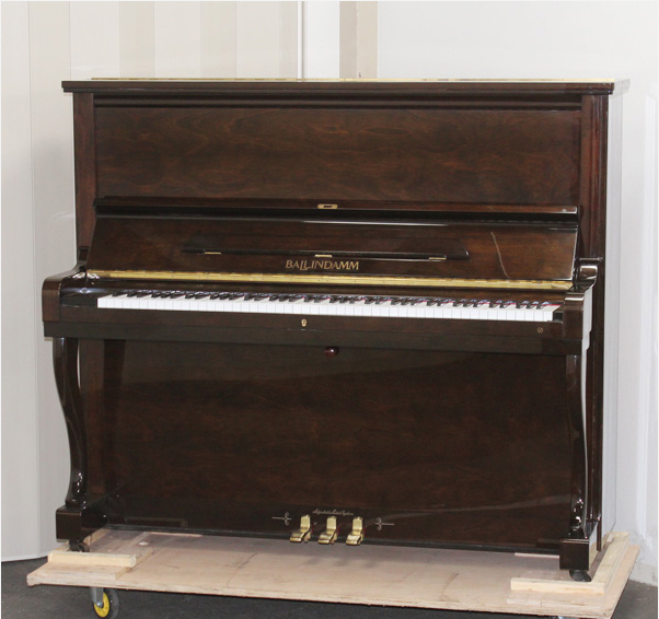 Music City – Tổng Kho Piano, Guitar, Organ | Dịch Vụ Giáo Dục Âm Nhạc