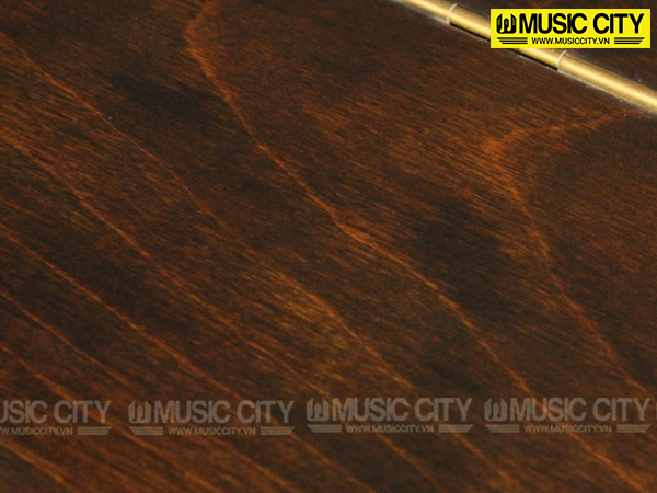 Music City – Tổng Kho Piano, Guitar, Organ | Dịch Vụ Giáo Dục Âm Nhạc