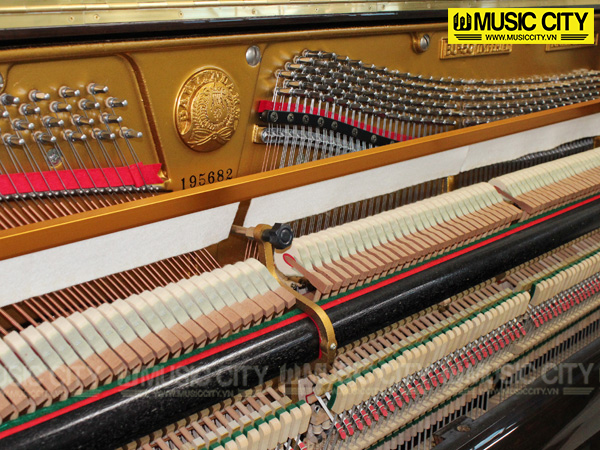 Music City – Tổng Kho Piano, Guitar, Organ | Dịch Vụ Giáo Dục Âm Nhạc