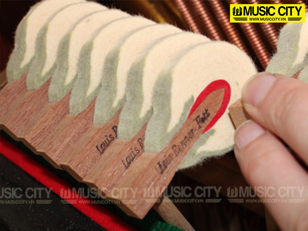 Music City – Tổng Kho Piano, Guitar, Organ | Dịch Vụ Giáo Dục Âm Nhạc