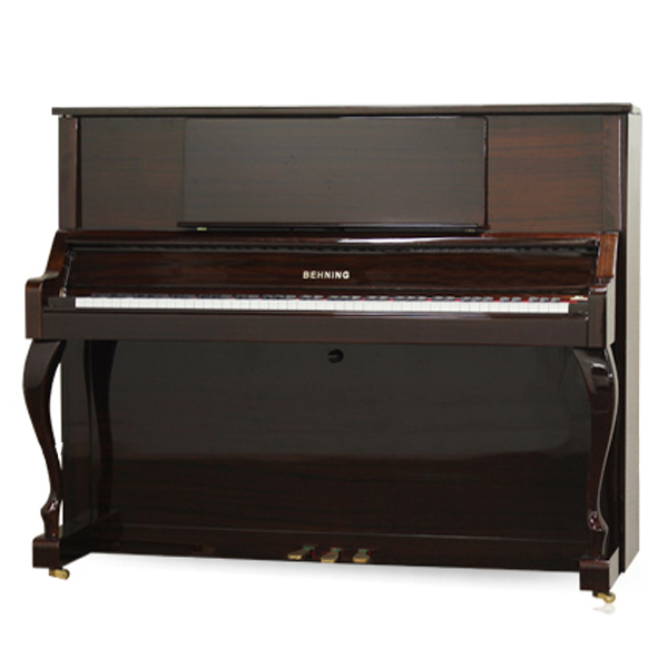 Music City – Tổng Kho Piano, Guitar, Organ | Dịch Vụ Giáo Dục Âm Nhạc