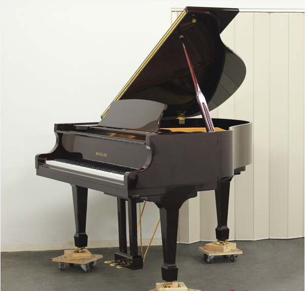 Music City – Tổng Kho Piano, Guitar, Organ | Dịch Vụ Giáo Dục Âm Nhạc
