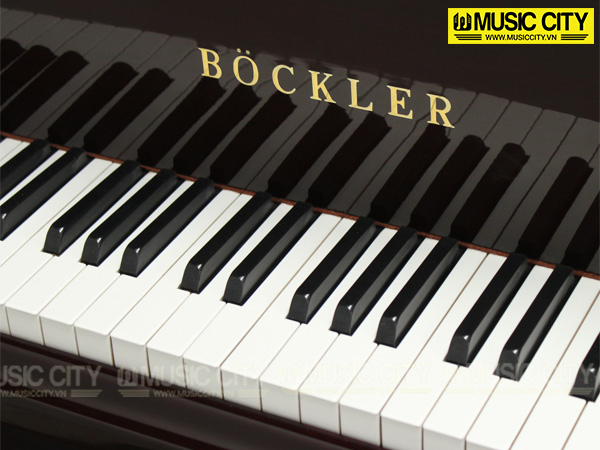 Music City – Tổng Kho Piano, Guitar, Organ | Dịch Vụ Giáo Dục Âm Nhạc