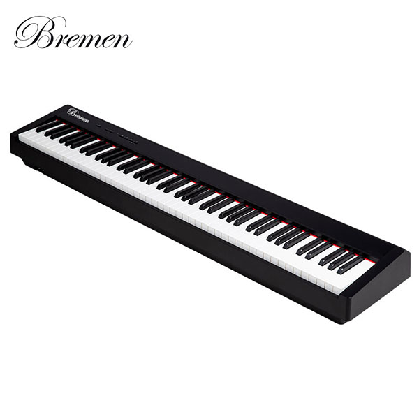 Đàn Piano Bremen BM310 - Ảnh 4