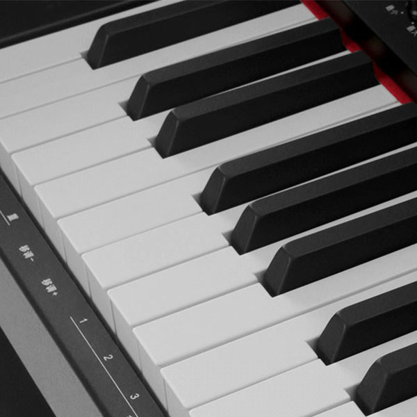 Đàn Piano Bremen BM330 - Ảnh 9