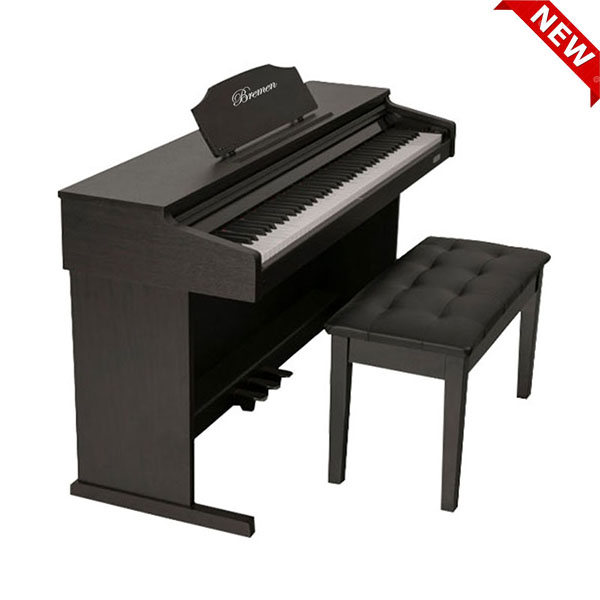 Music City – Tổng Kho Piano, Guitar, Organ | Dịch Vụ Giáo Dục Âm Nhạc