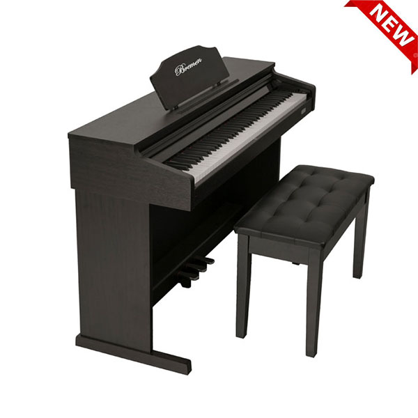 Music City – Tổng Kho Piano, Guitar, Organ | Dịch Vụ Giáo Dục Âm Nhạc