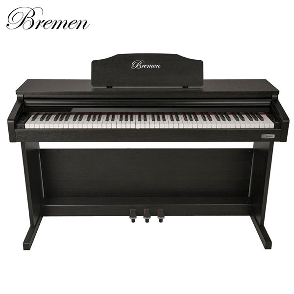 Music City – Tổng Kho Piano, Guitar, Organ | Dịch Vụ Giáo Dục Âm Nhạc